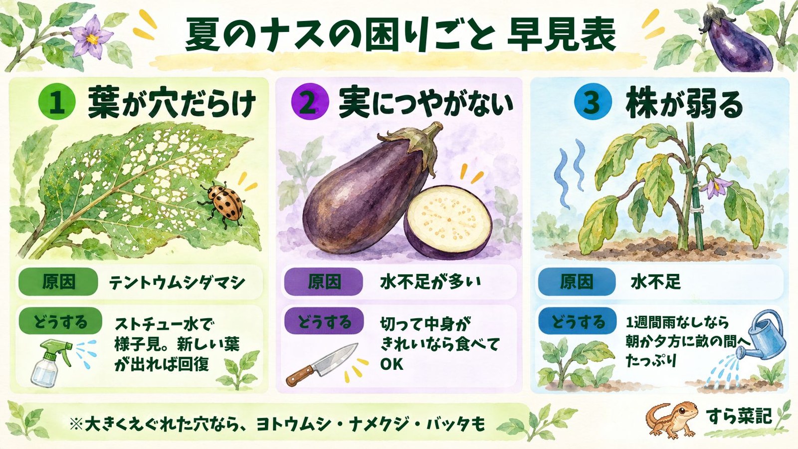 夏のナスの困りごと早見表：葉が穴だらけ・実につやがない・株が弱るの原因と対処